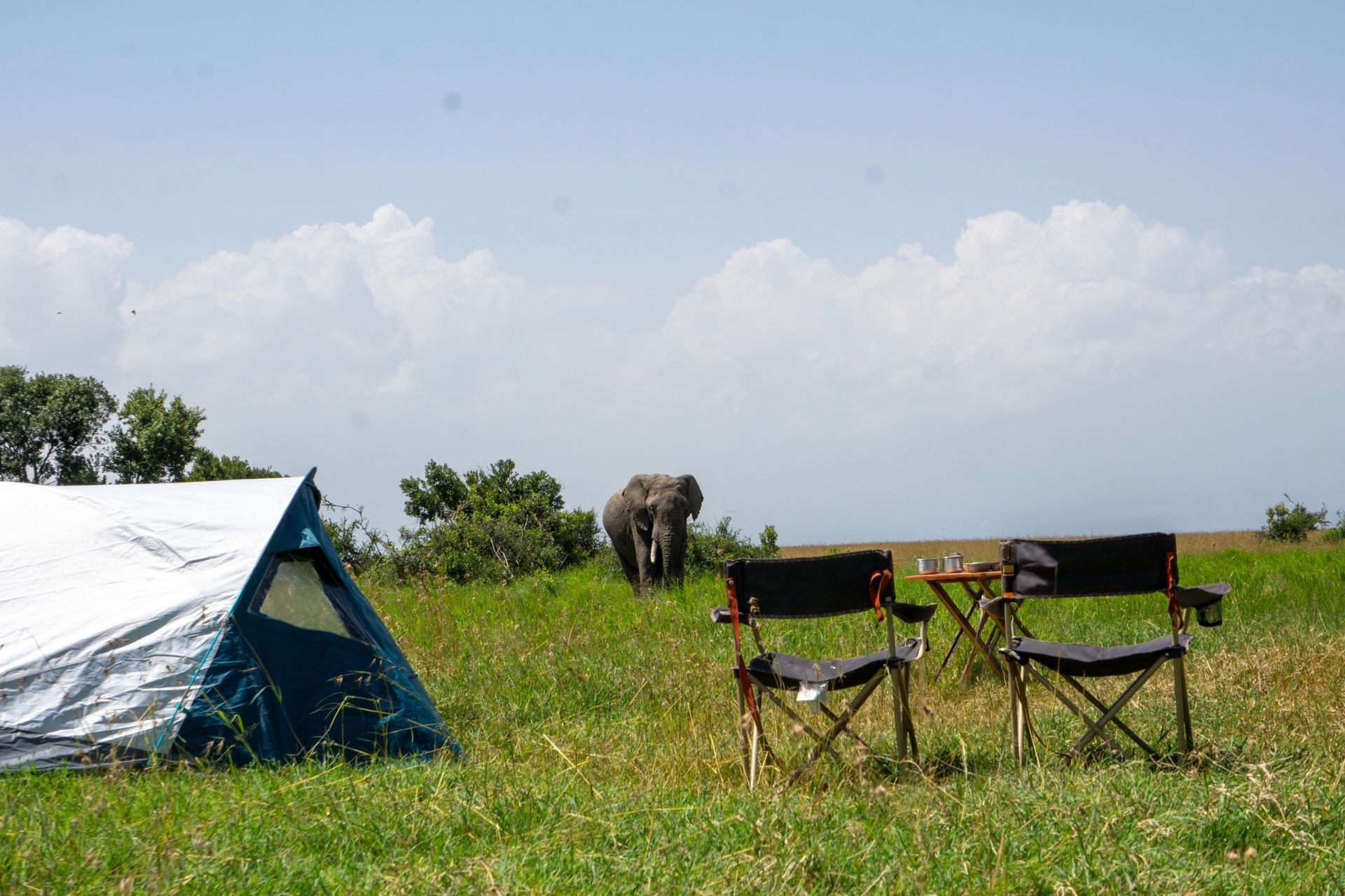 Tent and safari gear setup at Ol Pejeta Conservancy