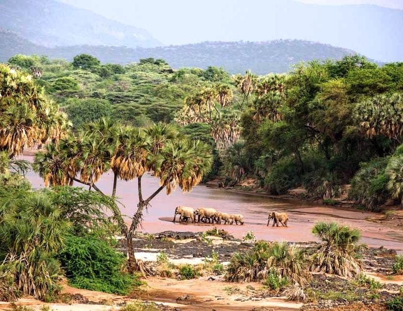 Gear rental for remote camping in Shaba Reserve