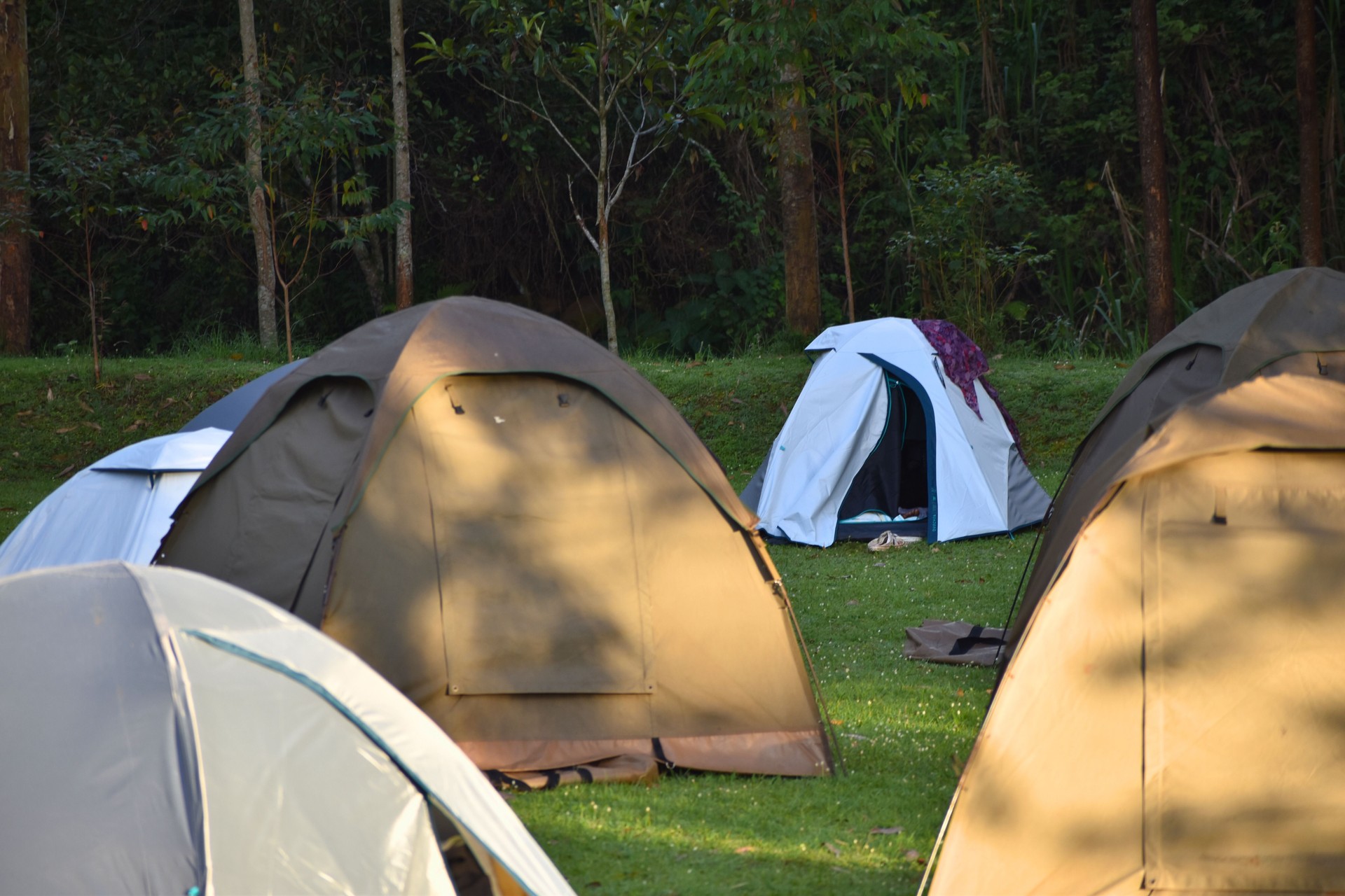 Camping Tents in Forest