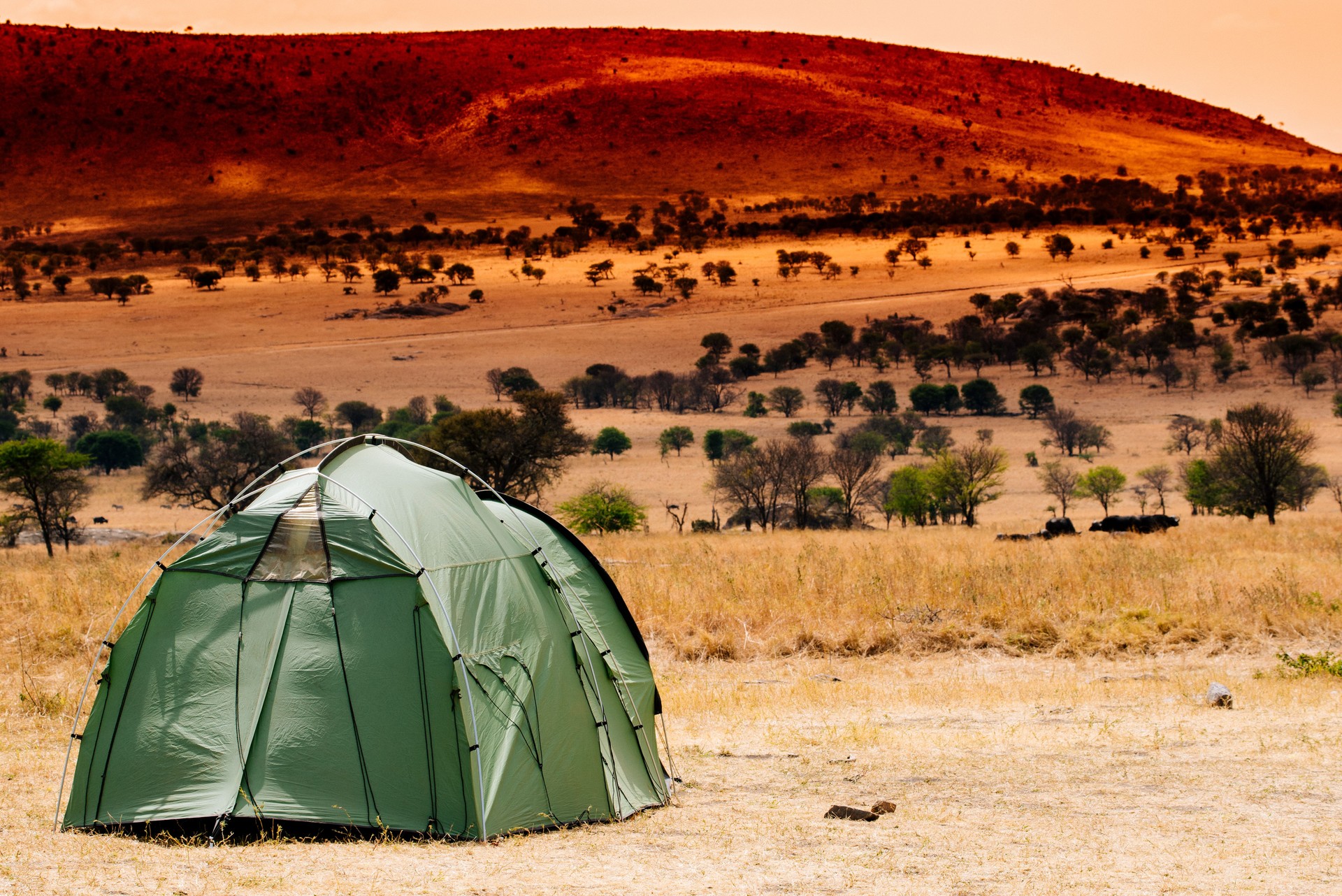 Comfortable sleeping bag rental for Kenyan camping trips and road safaris