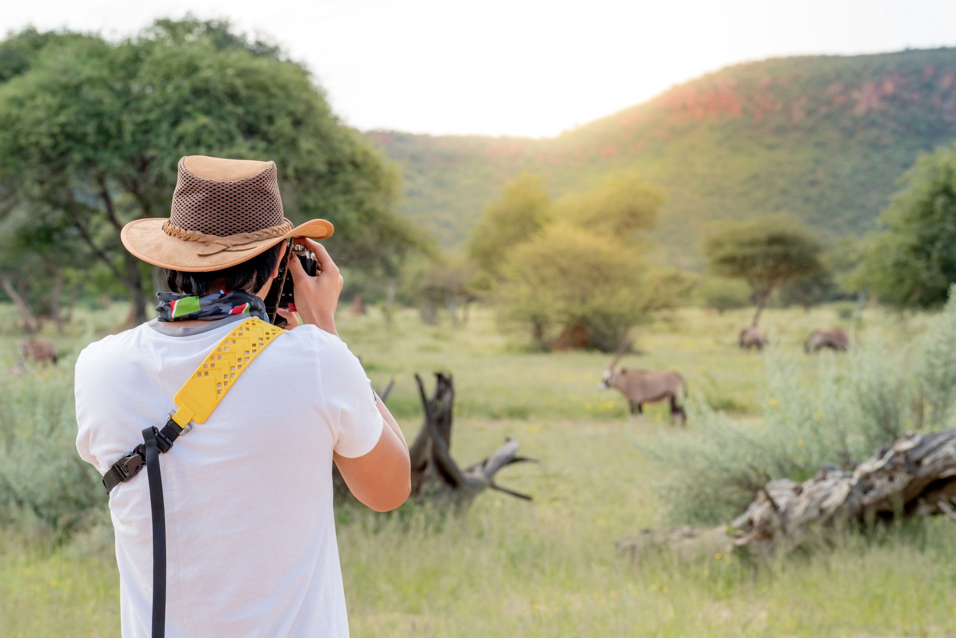 Young man traveler and photographer taking photo of Oryx, a type of wildlife animal in African safari